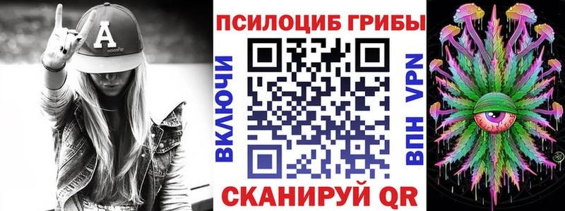 Галлюциногенные грибы Psilocybine cubensis Карачаевск